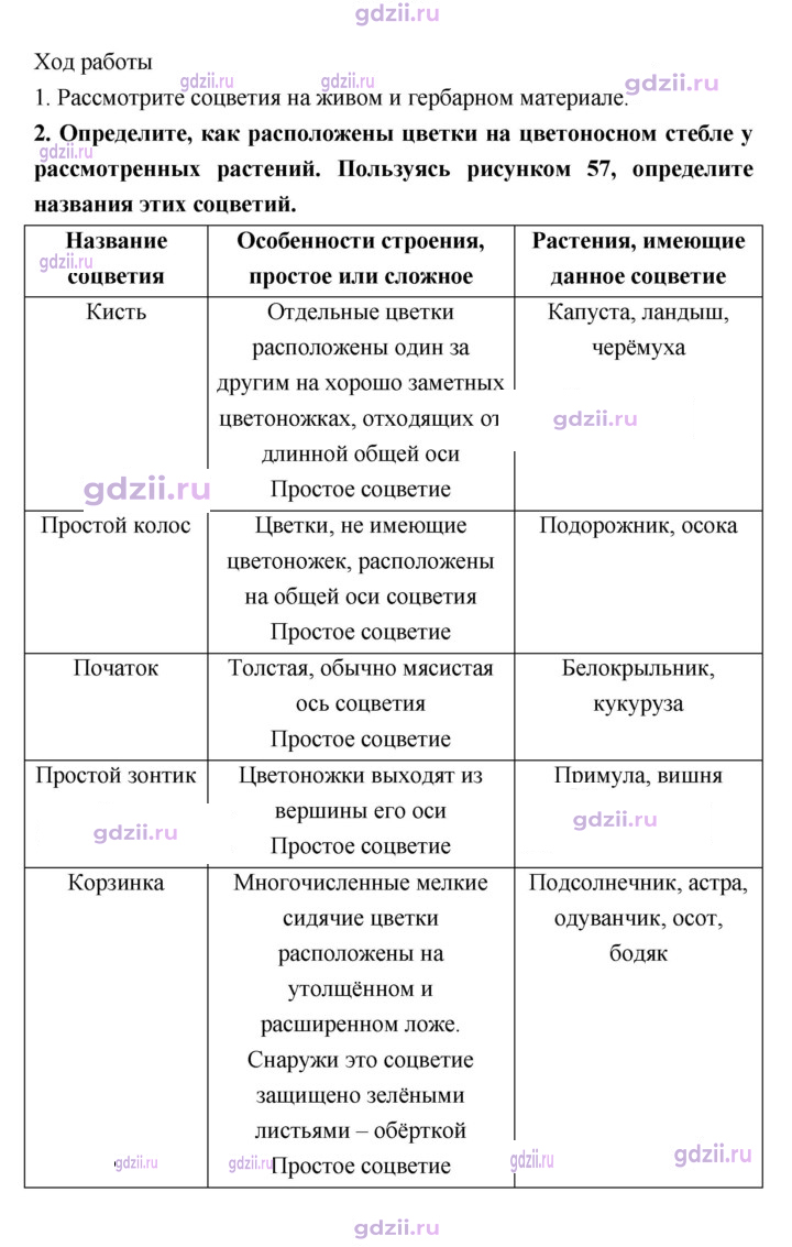 Скан решения номера 80