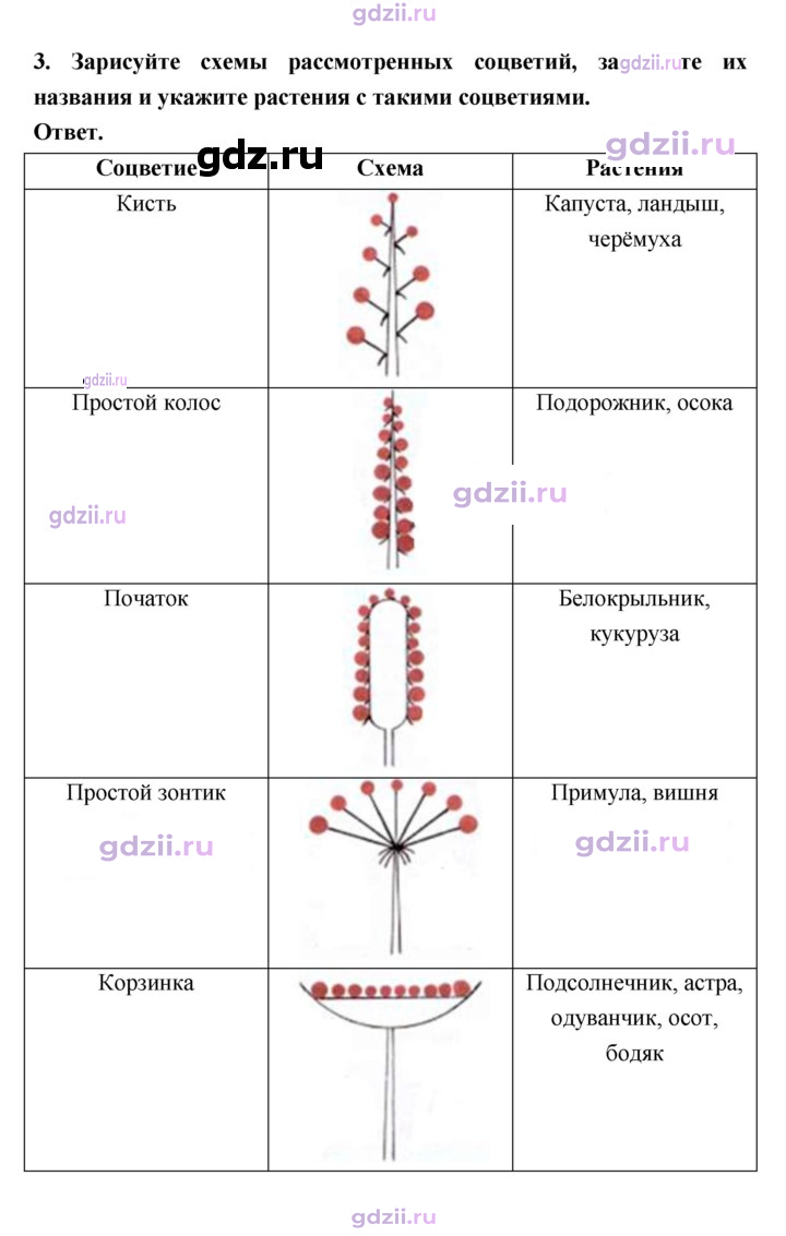 Скан решения номера 80