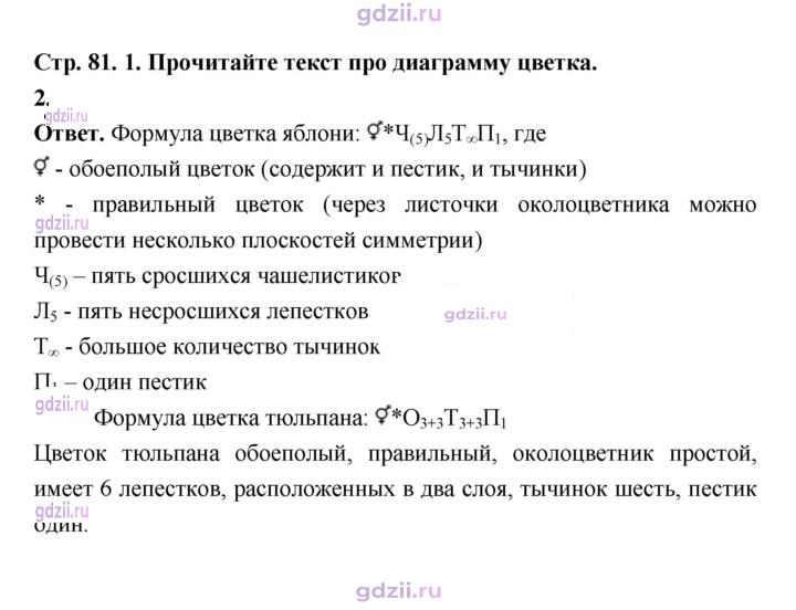 Скан решения номера 81