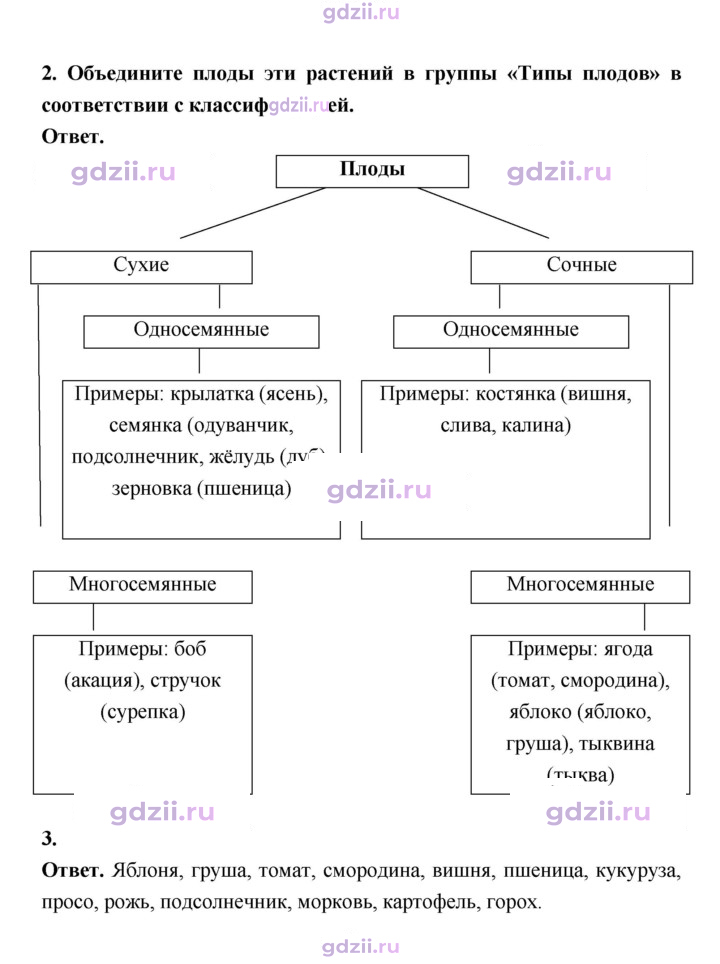 Скан решения номера 89