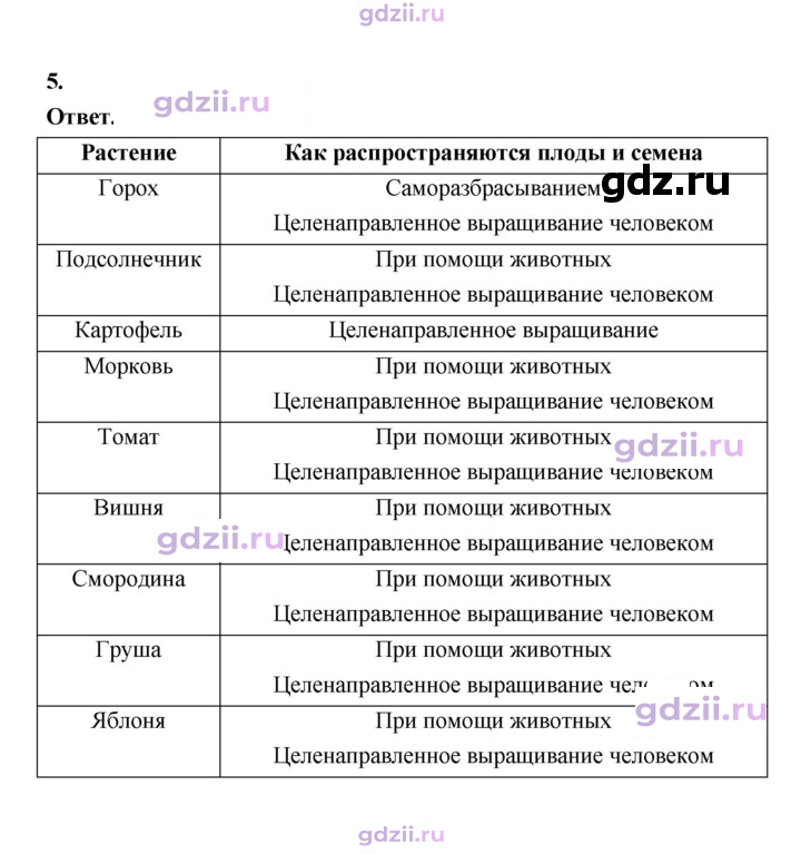 Скан решения номера 89