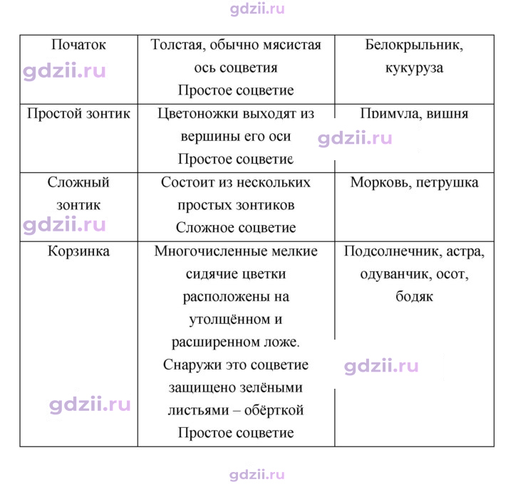 Скан решения номера 90