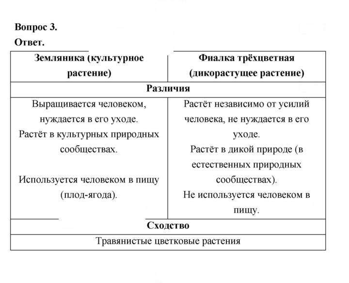 Скан решения номера 12