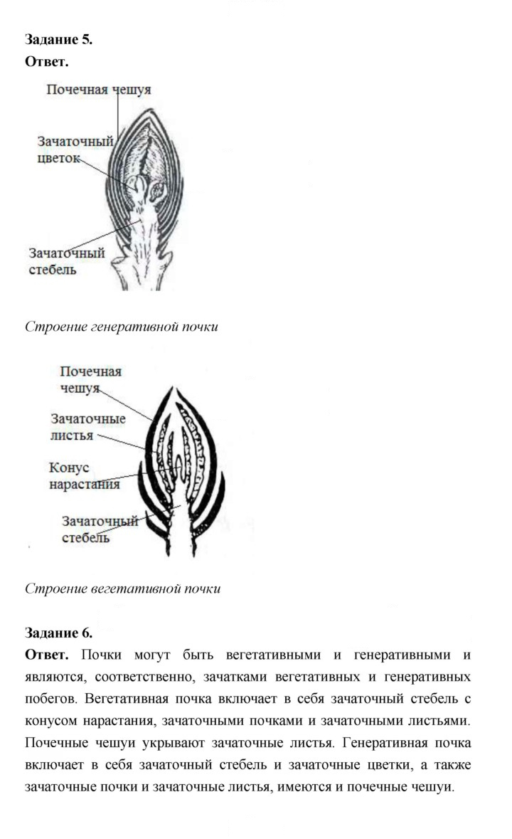 Скан решения номера 74