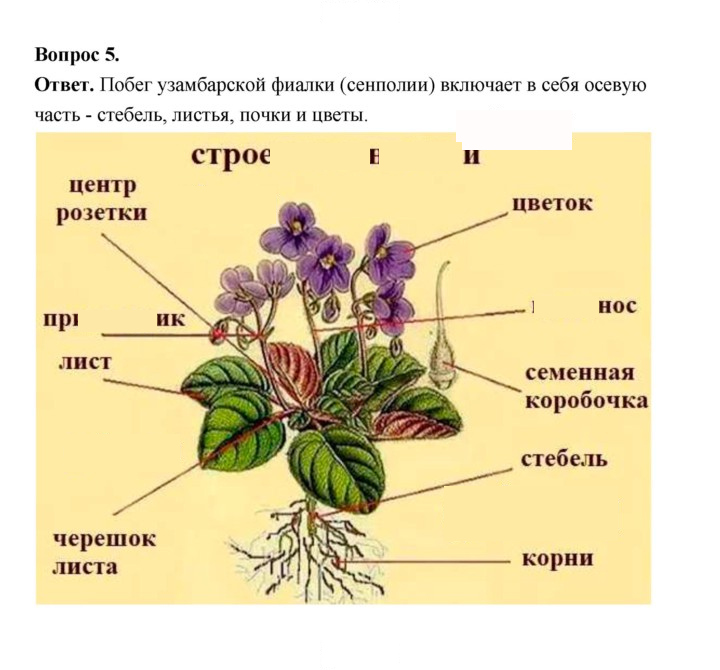 Скан решения номера 75