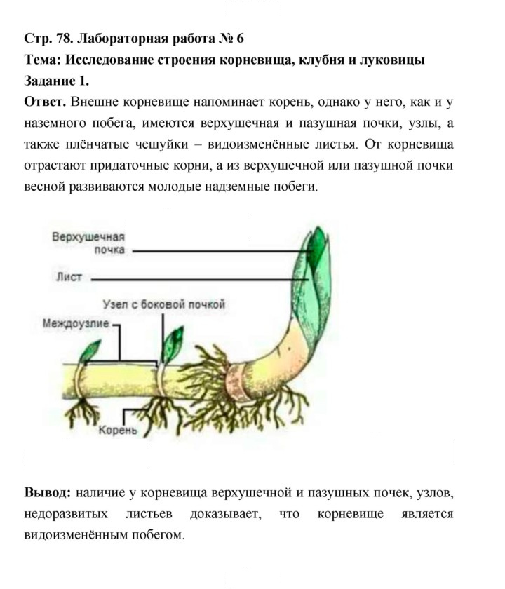 Скан решения номера 78