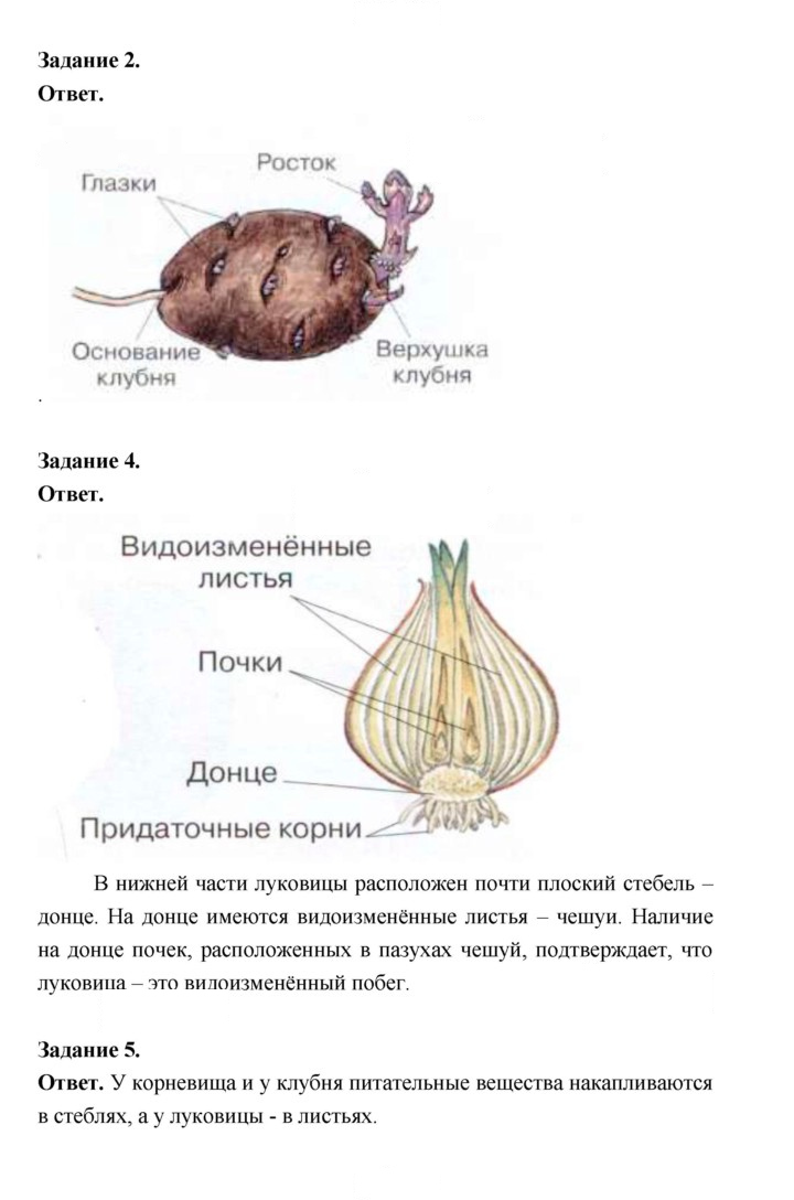 Скан решения номера 78