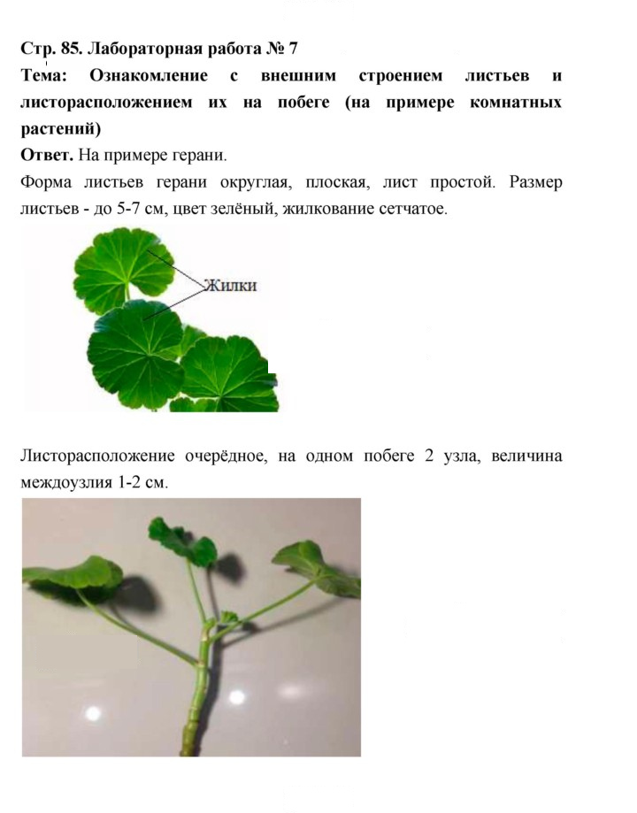 Скан решения номера 85