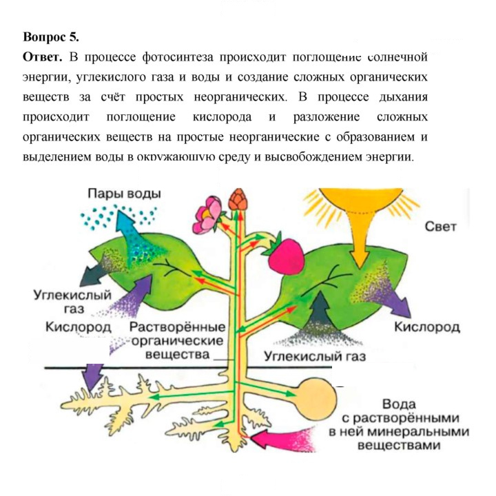 Скан решения номера 101