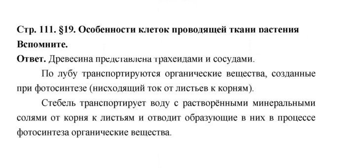 Скан решения номера 111
