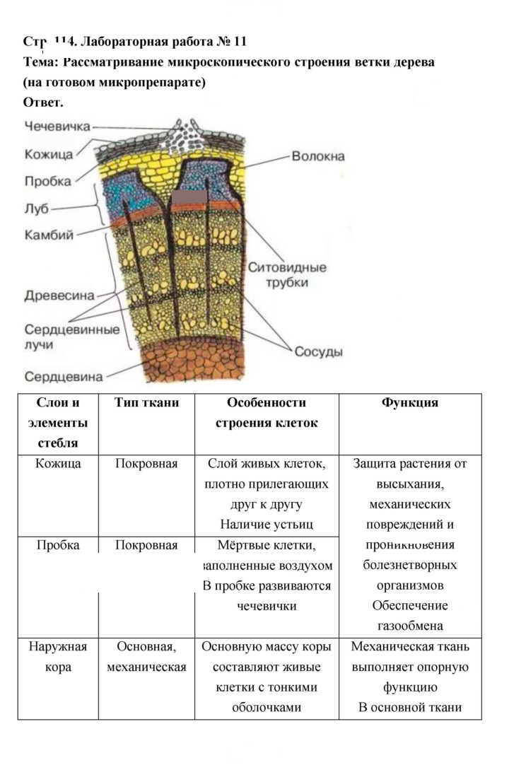 Скан решения номера 114