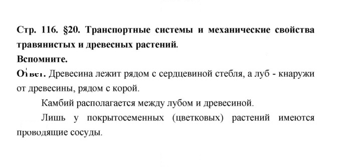 Скан решения номера 116