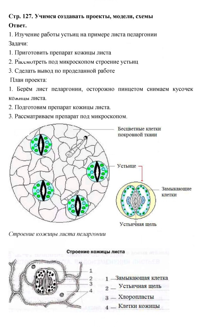 Скан решения номера 127