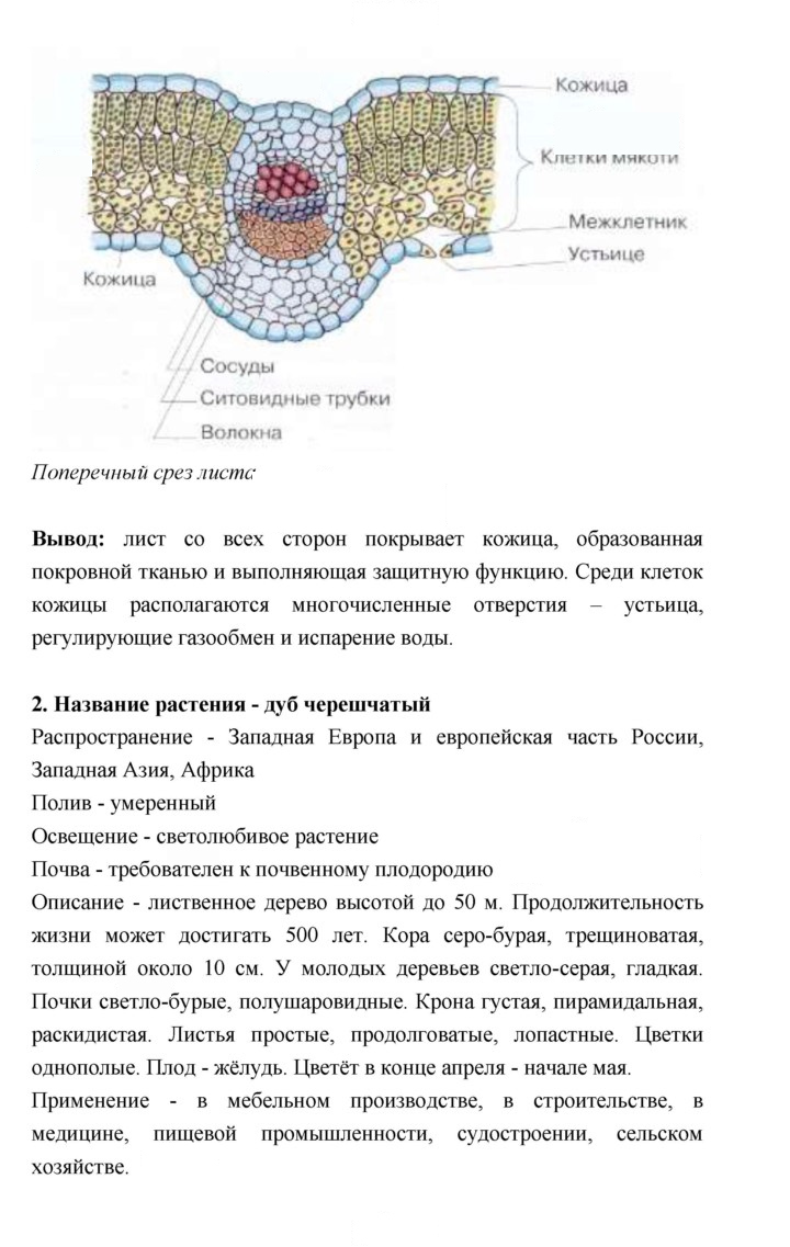 Скан решения номера 127