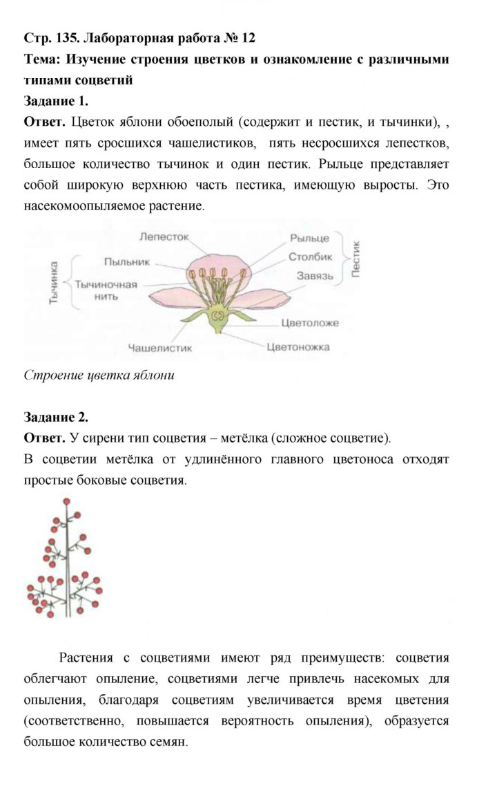 Скан решения номера 136