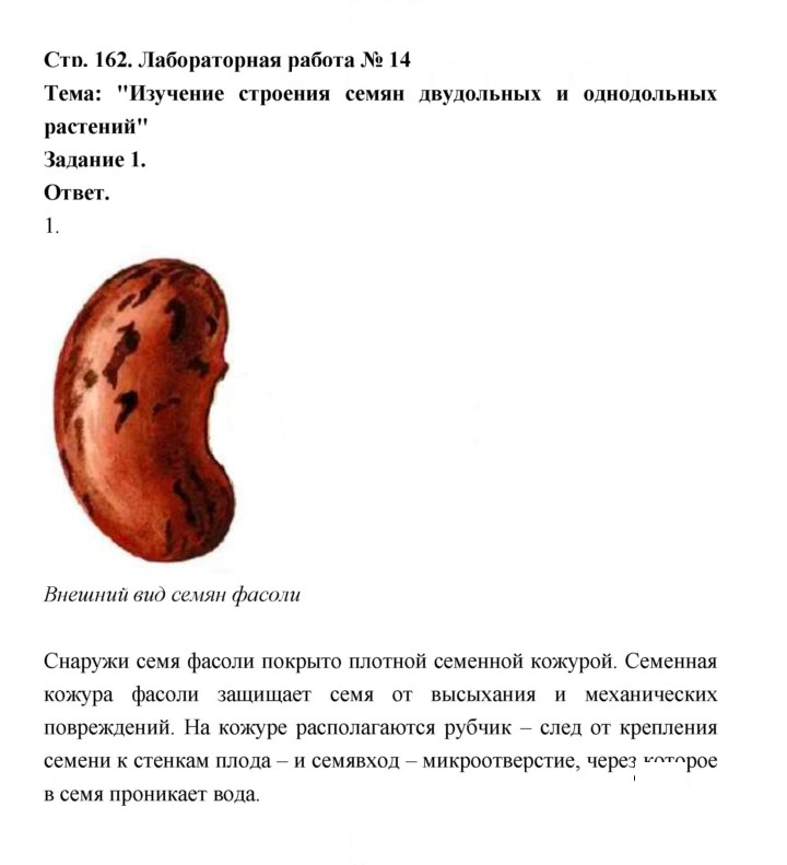 Скан решения номера 162