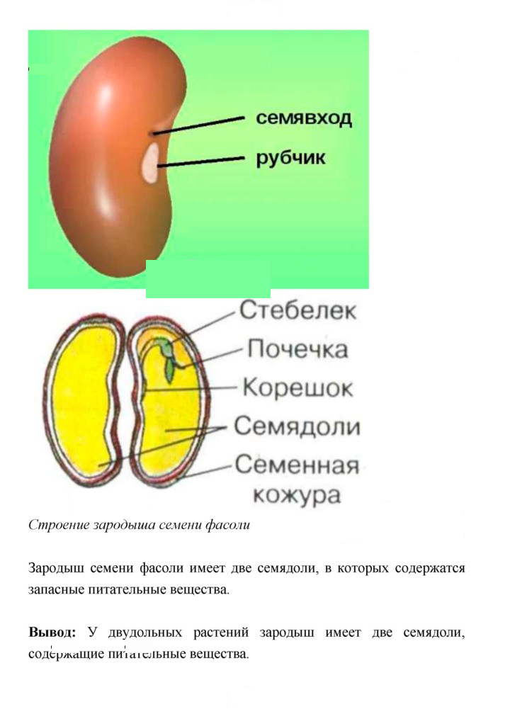 Скан решения номера 162