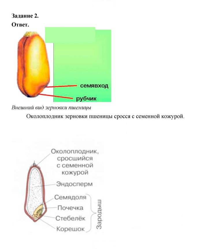 Скан решения номера 163