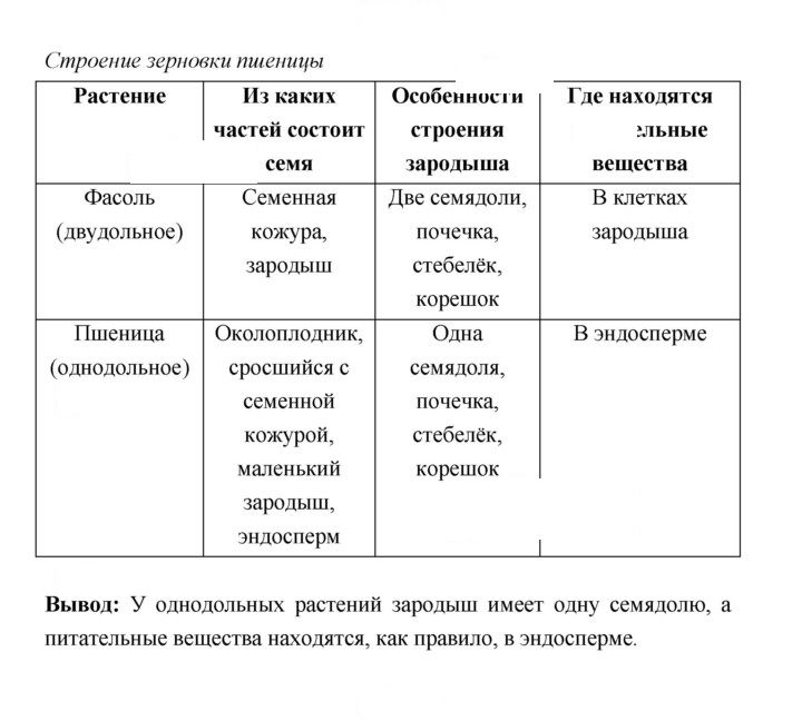 Скан решения номера 163