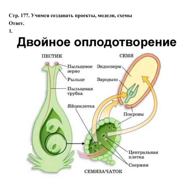 Скан решения номера 177