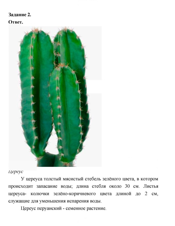 Скан решения номера 25
