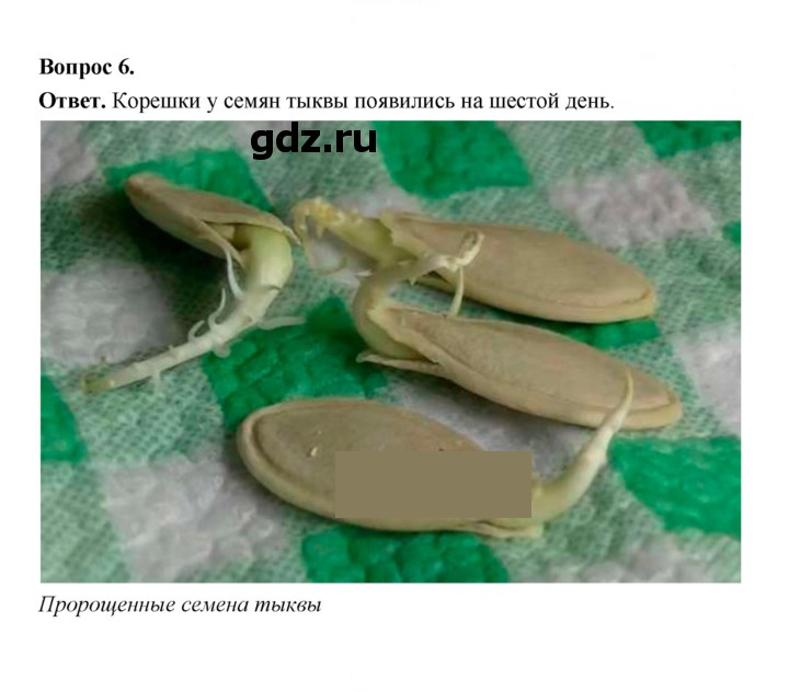 Скан решения номера 32