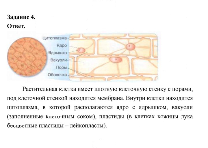 Скан решения номера 37