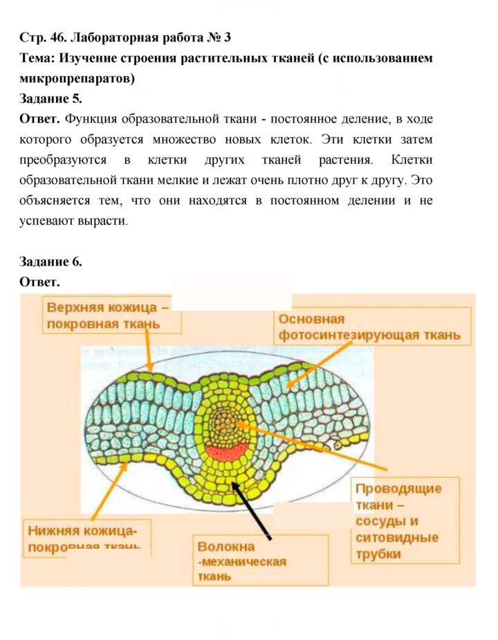 Скан решения номера 46