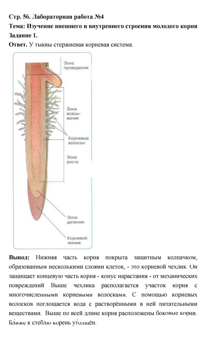 Скан решения номера 56
