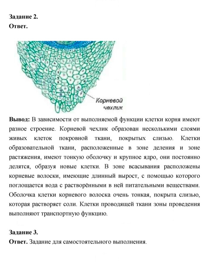 Скан решения номера 57