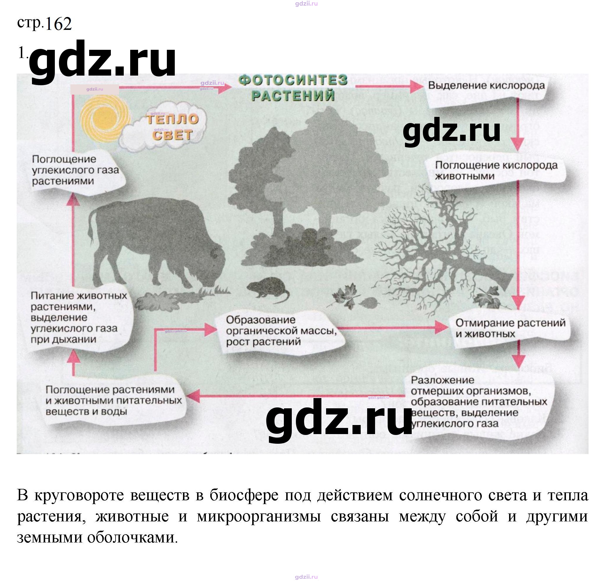 Скан решения номера 162