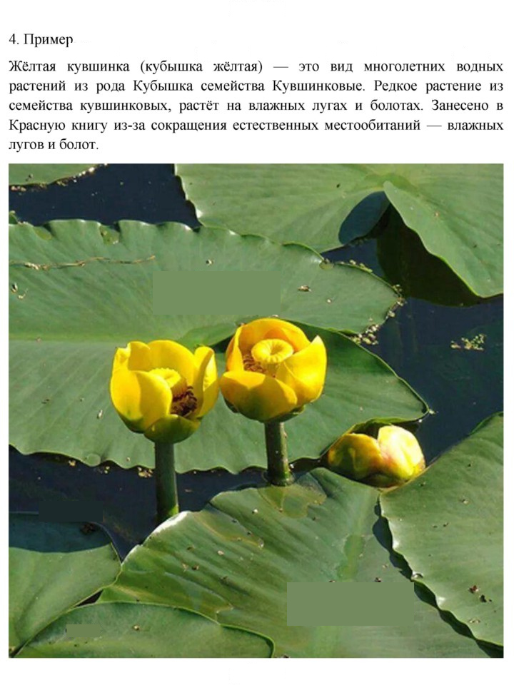 Скан решения номера 269