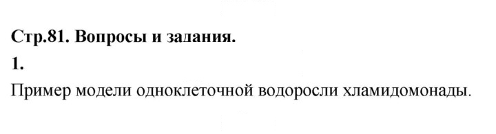 Скан решения номера 1