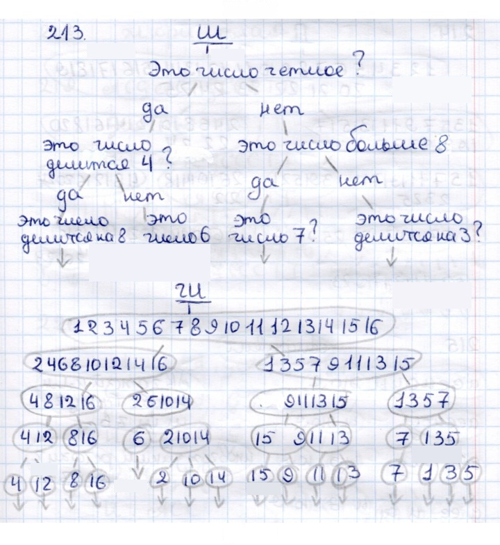 Скан решения номера 213