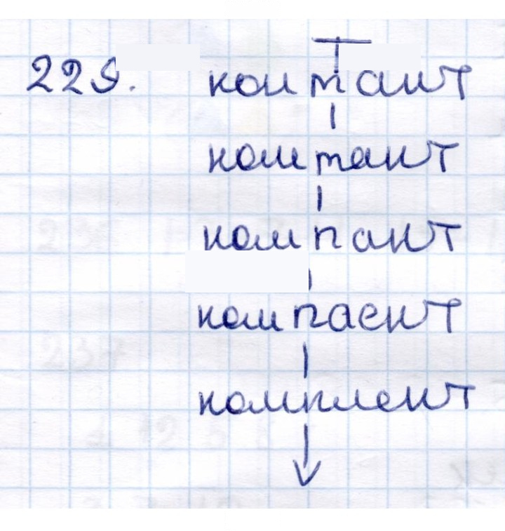 Скан решения номера 229