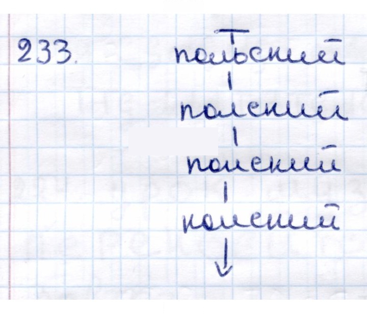 Скан решения номера 233