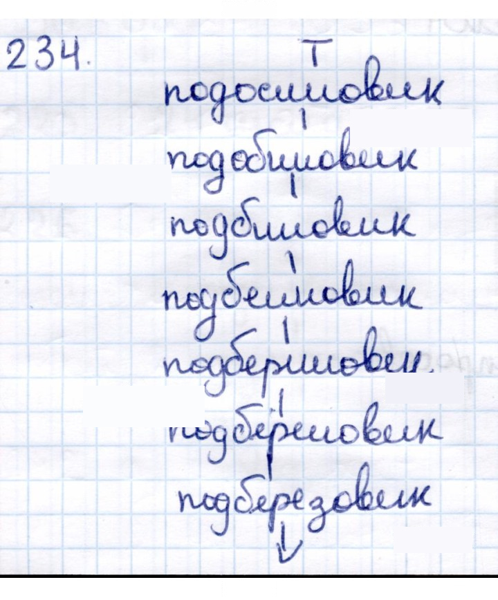 Скан решения номера 234
