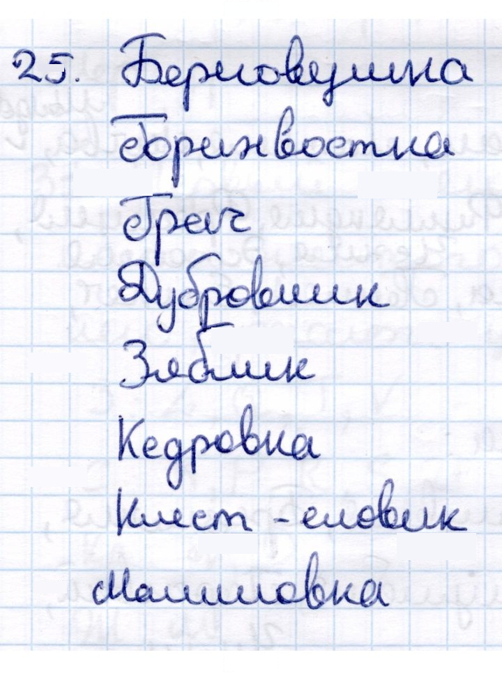 Скан решения номера 25