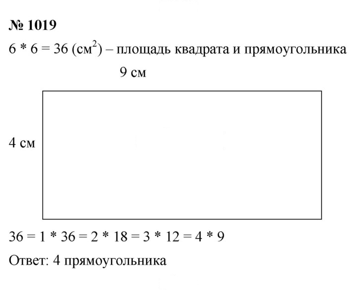 Скан решения номера 1019
