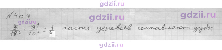Скан решения номера 407