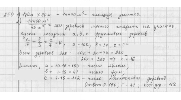 Скан решения номера 250