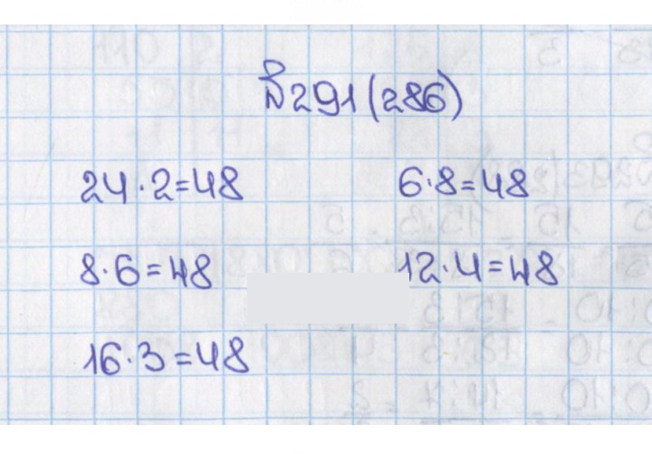 Скан решения номера 291 (286)