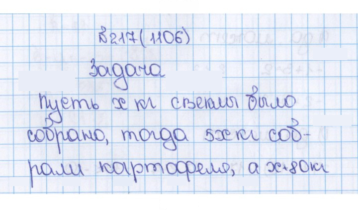 Скан решения номера 217 (1106)