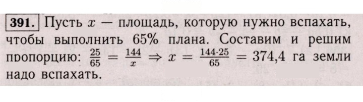 Скан решения номера 391 (1280)