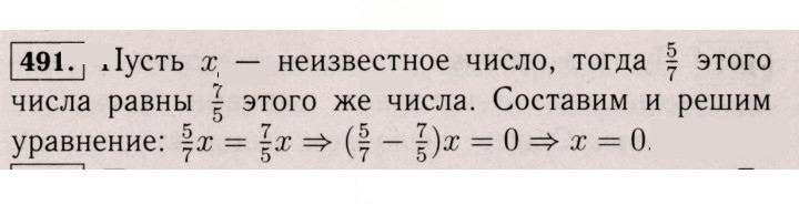 Скан решения номера 491 (1380)