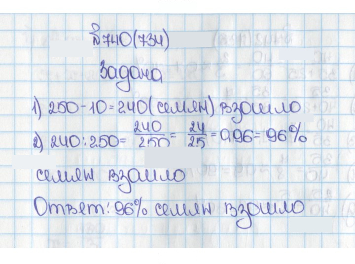 Скан решения номера 734 (740)