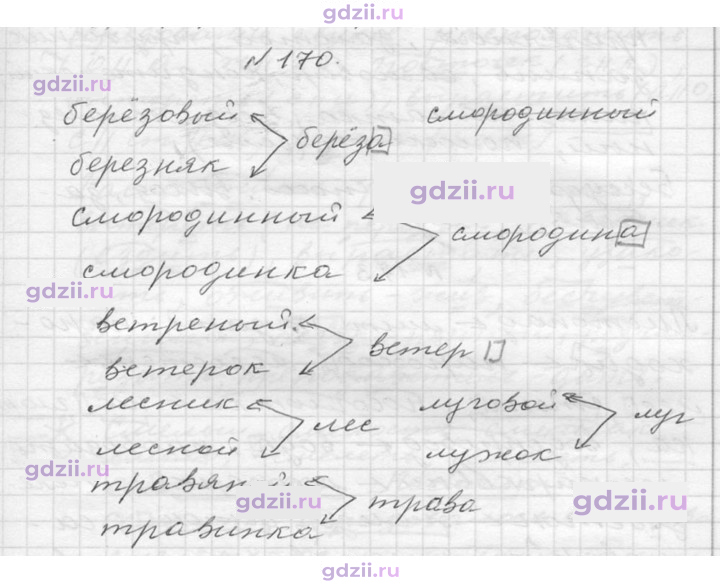 Скан решения номера 170