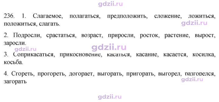 Скан решения номера 236