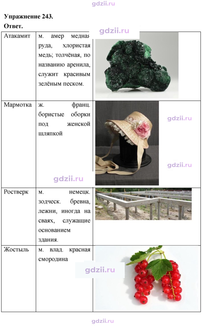 Скан решения номера 243
