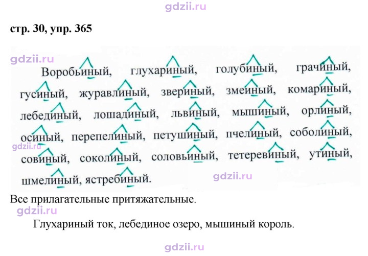 Скан решения номера 365